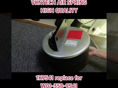 Hava asılı yaylar 1K9541 W01-358-9541 için değiştirme